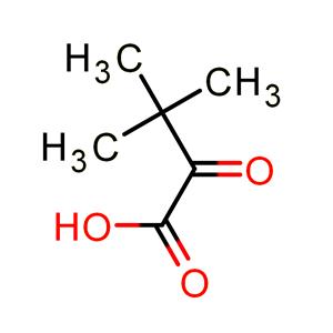 三甲基丙酮酸