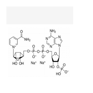 氧化型辅酶Ⅱ二钠