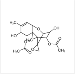 茄病镰刀菌图片