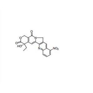 9-硝基喜树碱
