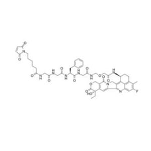 HER3抗体偶联体药物U3-1402