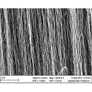 碳纳米管垂直阵列