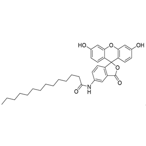 5-(十四酰氨基)荧光素