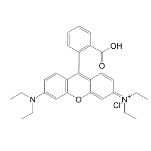 罗丹明 B