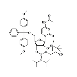 N-乙酰基-5'-O-(4,4-二甲氧基三苯甲基)-2'-O-[(叔丁基)二甲基硅基]胞苷-3'-(2-氰基乙基-N,N-二异丙基)亚磷酰胺