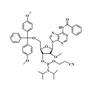 N-苯甲酰基-5'-O-(4,4-二甲氧基三苯甲基)-2'-O-甲基腺苷-3'-(2-氰基乙基-N,N-二异丙基)亚磷酰胺