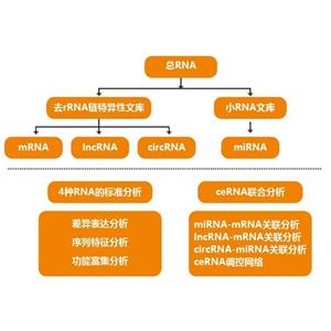 蛋白组/转录组大数据数据分析（文章作图）