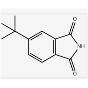 5-叔丁基异吲哚-1,3-二酮