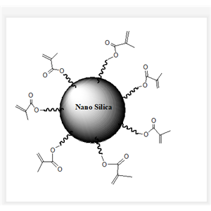 丙烯酸酯二氧化硅纳米粒子