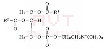 蛋黄卵磷脂PL-100M-艾伟拓（上海）医药科技有限公司