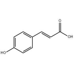 对羟基肉桂酸