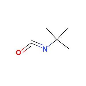 叔丁基异氰酸酯