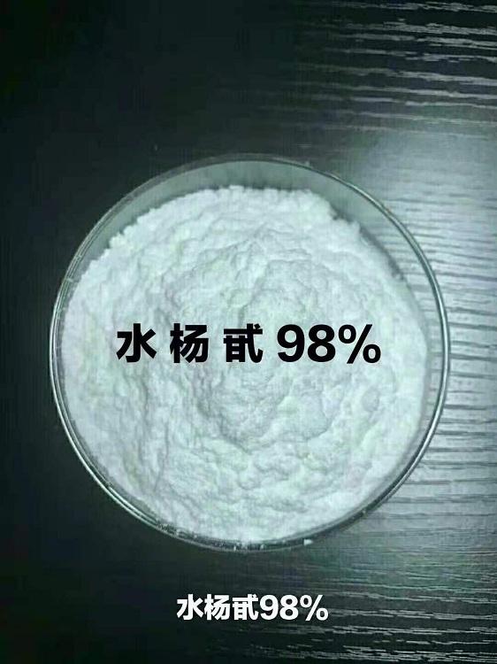 水杨甙.jpg