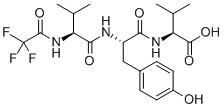 Trifluoroacetyl Tripeptide-2.gif