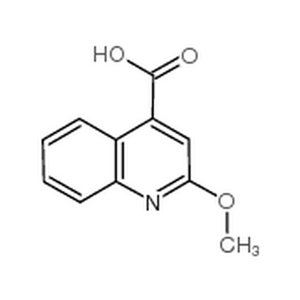 2-甲氧基喹啉-4-羧酸