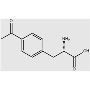 单肽/4-乙酰基-DL-苯丙氨酸