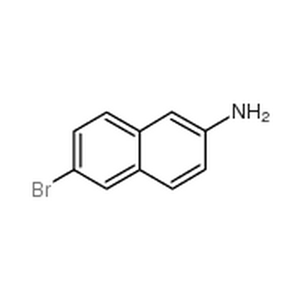 2-氨基-6-溴萘