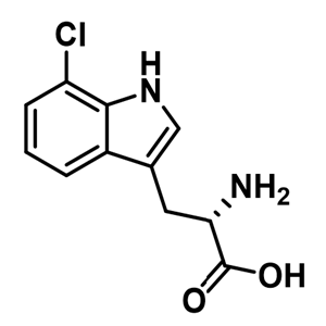 7-氯-L-色氨酸