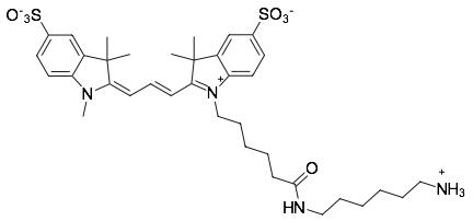 Sulfo-Cyanine3 amine.jpg