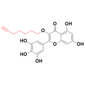 端炔杨梅素-4