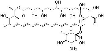 CAS 登录号：1397-89-3, 两性霉素 B