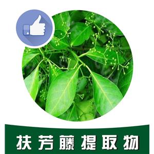 扶芳藤提取物