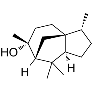 柏木脑