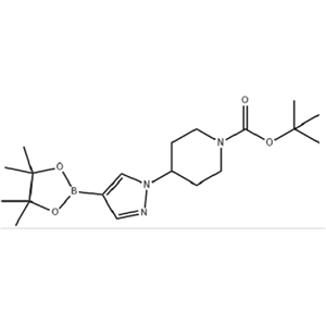 4-[4-(4,4,5,5-四甲基-1,3,2-二氧杂环戊硼烷-2-基)-1H-吡唑-1-基]哌啶-1-甲酸叔丁酯