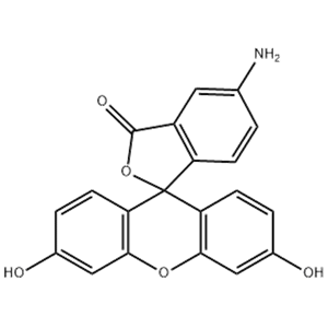 5-氨基荧光素