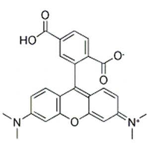 5-羧基四甲基罗丹明