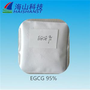 (-)- 表没食子儿茶素没食子酸酯 EGCG