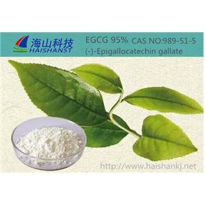 表没食子儿茶素EGC