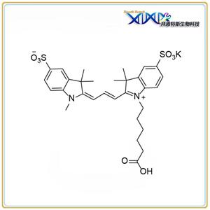 磺基-CY3 羧酸