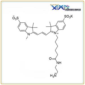 Sulfo-Cyanine3 C2 Amine Me, Cy3 Amine