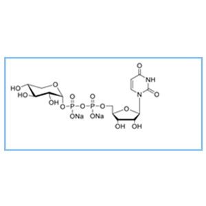 UDP-xylose.2Na