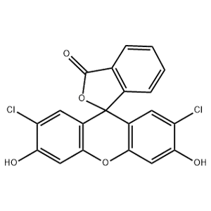 二氯荧光素