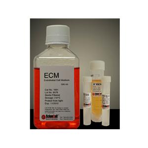 内皮细胞培养基 ECM Sciencell