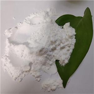 2,5-吡嗪二羧酸 CAS#122-05-4 白色或者淡白色结晶粉末