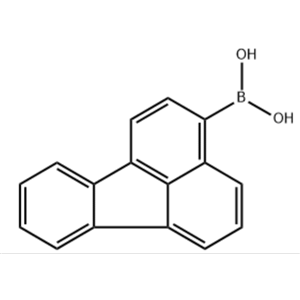 荧蒽-3-硼酸