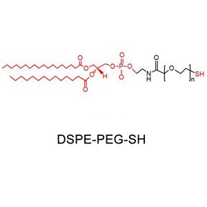 二硬脂酰磷脂酰乙醇胺-聚乙二醇-巯基