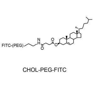 胆固醇-聚乙二醇-荧光素