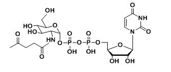 UDP-2-carbonyl-GlcNAc羧基修饰尿苷二磷酸