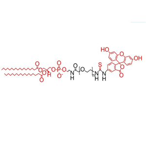 二硬脂酰基磷脂酰乙醇胺-聚乙二醇-荧光素
