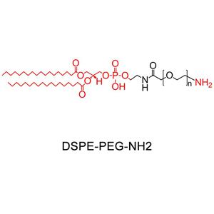 二硬脂酰磷脂酰乙醇胺-聚乙二醇-氨基
