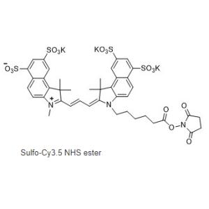 CAS号 :2231670-91-8水溶cy3.5 NHS，Sulfo cy3.5 NHS ester