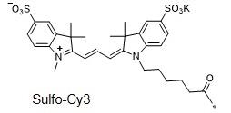 水溶性CY3  Sulfo-Cyanine3，磺化Cy3，sulfo-Cy3