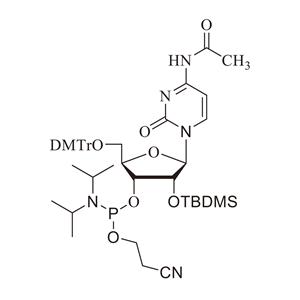 RC-TBDMS亚磷酰胺单体