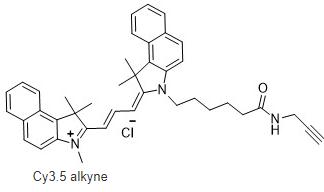 Cy3.5-alkyne,Cy3.5-ALK,Cy3.5-炔烃,Cyanine3.5-ALK,Cyanine3.5-炔烃,