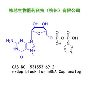 m7甲基尿苷类似物 产品图片