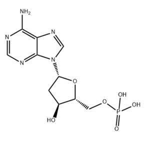 2'-脱氧腺苷-5'-单磷酸